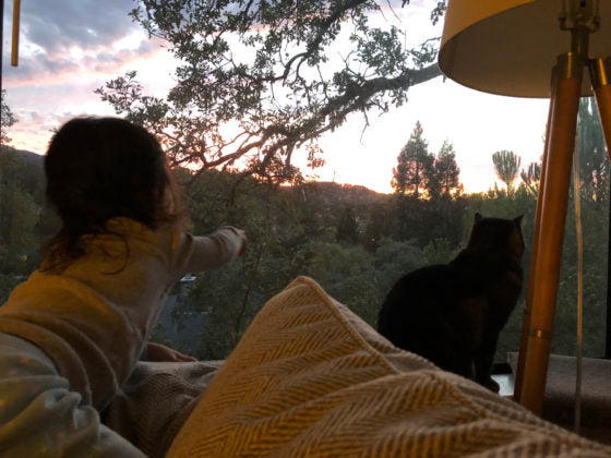 Sundays With Tabs the Cat, Makeup and Beauty Blog Mascot, Vol. 575